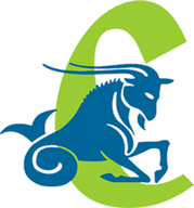 Capricorn Electronics LLC